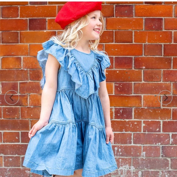 PINK CHICKEN New York Girls Girls Raphaela Dress Chambray Size 12 Blue - Picture 2 of 6